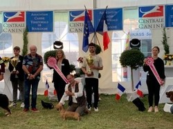 CACS & CACIB DIJON 2022