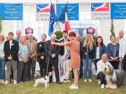 CACS & CACIB DIJON 2022