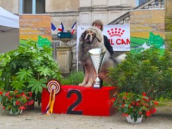 CACS CHALON-SUR-SAÔNE 2024