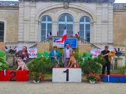 CACS CHALON-SUR-SAÔNE 2024