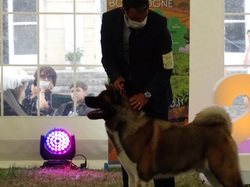 CACS DIJON 2020 (Château de Brognon)