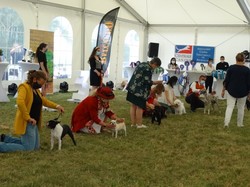 CACS DIJON 2020 (Château de Brognon)