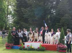 CACS Saint-Ambreuil 2016