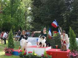 CACS Saint-Ambreuil 2016