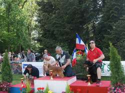 CACS Saint-Ambreuil 2016