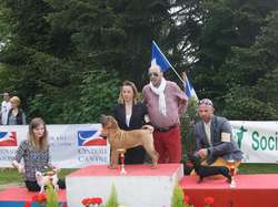 CACS Saint-Ambreuil 2016