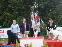 CACS Saint-Ambreuil 2016