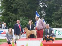 CACS Saint-Ambreuil 2016