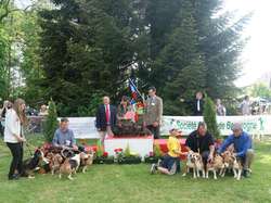 CACS Saint-Ambreuil 2016