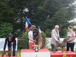 CACS Saint-Ambreuil 2016