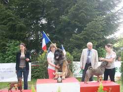 CACS Saint-Ambreuil 2016