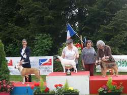 CACS Saint-Ambreuil 2016