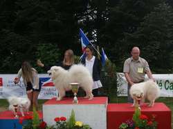 CACS Saint-Ambreuil 2016