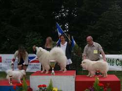 CACS Saint-Ambreuil 2016