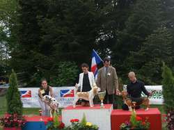 CACS Saint-Ambreuil 2016