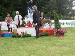 CACS Saint-Ambreuil 2016