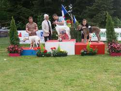 CACS Saint-Ambreuil 2016