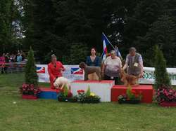 CACS Saint-Ambreuil 2016