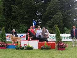 CACS Saint-Ambreuil 2016