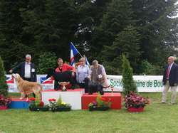 CACS Saint-Ambreuil 2016