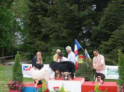 CACS Saint-Ambreuil 2016