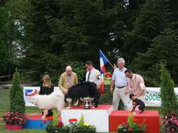 CACS Saint-Ambreuil 2016