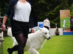 CACS SAINT-AMBREUIL 2017