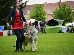 CACS SAINT-AMBREUIL 2017