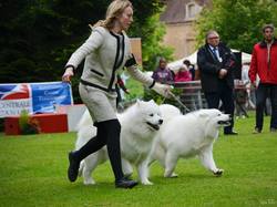 CACS SAINT-AMBREUIL 2017
