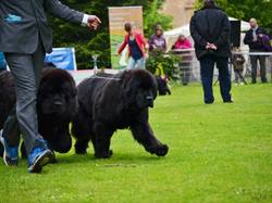 CACS SAINT-AMBREUIL 2017