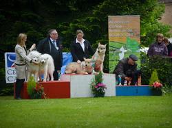 CACS SAINT-AMBREUIL 2017