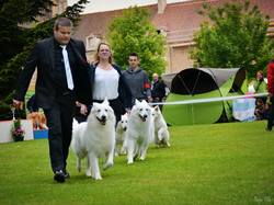 CACS SAINT-AMBREUIL 2017