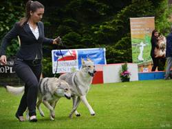 CACS SAINT-AMBREUIL 2017