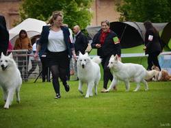 CACS SAINT-AMBREUIL 2017