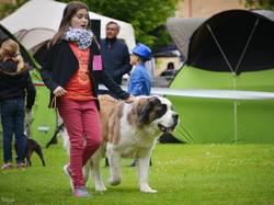 CACS SAINT-AMBREUIL 2017