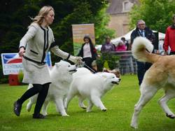 CACS SAINT-AMBREUIL 2017