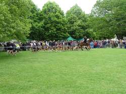 CACS SAINT-AMBREUIL 2017