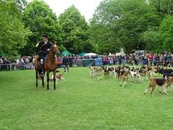 CACS SAINT-AMBREUIL 2017