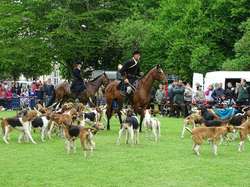 CACS SAINT-AMBREUIL 2017