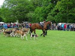 CACS SAINT-AMBREUIL 2017