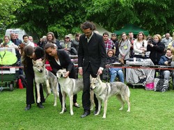 CACS SAINT-AMBREUIL 2017