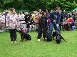 CACS SAINT-AMBREUIL 2017