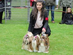 CACS SAINT-AMBREUIL 2017