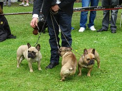 CACS SAINT-AMBREUIL 2017