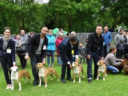 CACS SAINT-AMBREUIL 2017