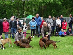 CACS SAINT-AMBREUIL 2017
