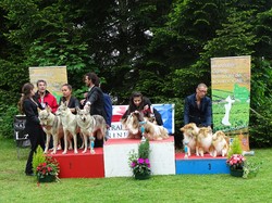 CACS SAINT-AMBREUIL 2017