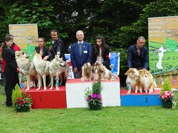 CACS SAINT-AMBREUIL 2017