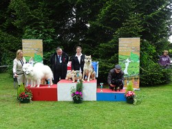 CACS SAINT-AMBREUIL 2017