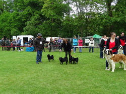 CACS SAINT-AMBREUIL 2017